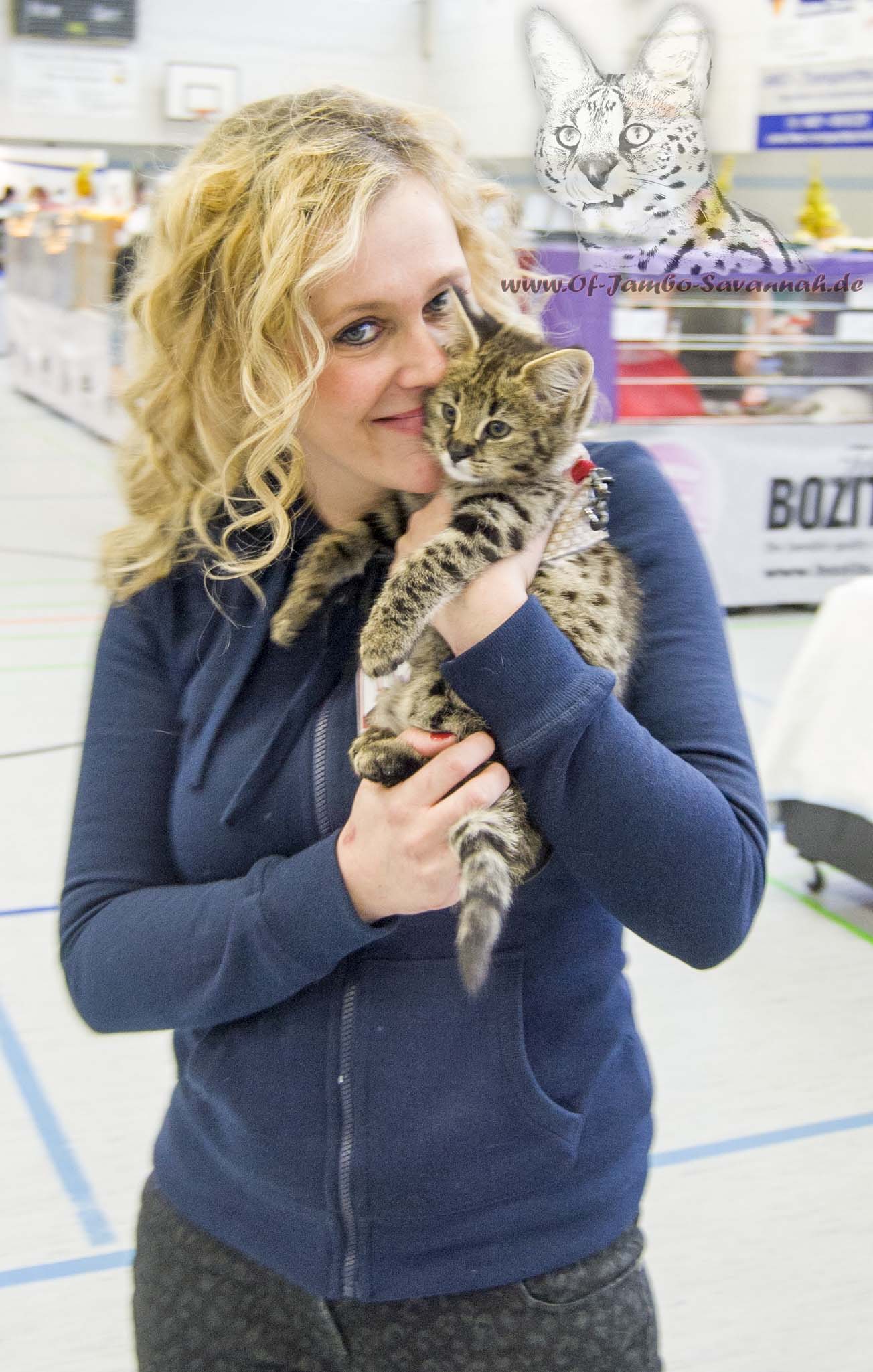 F1 Savannah Kitten auf dem Arm von Angela Hönig. Savannahzüchterin aus Deutschland